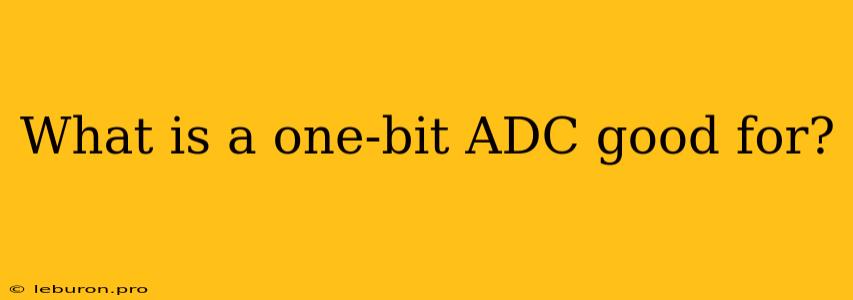 What Is A One-bit ADC Good For?