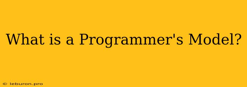 What Is A Programmer's Model?