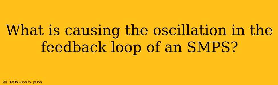 What Is Causing The Oscillation In The Feedback Loop Of An SMPS?