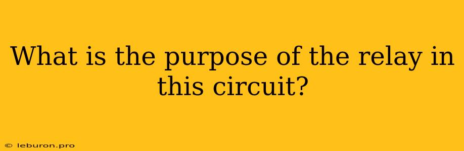 What Is The Purpose Of The Relay In This Circuit?