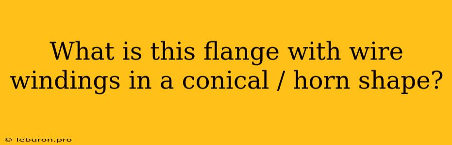 What Is This Flange With Wire Windings In A Conical / Horn Shape?