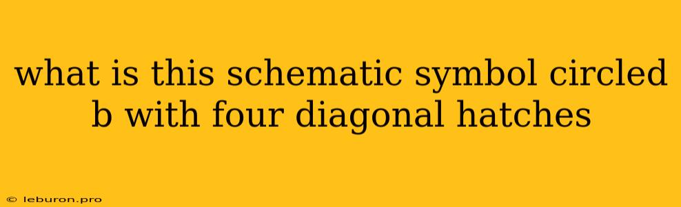 What Is This Schematic Symbol Circled B With Four Diagonal Hatches