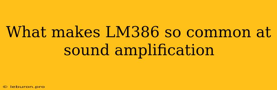 What Makes LM386 So Common At Sound Amplification