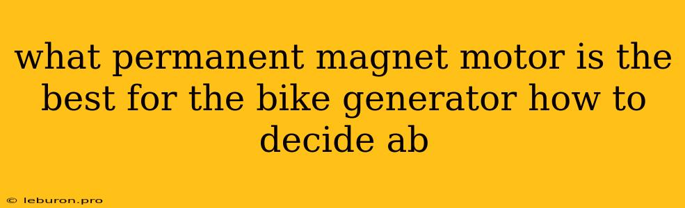 What Permanent Magnet Motor Is The Best For The Bike Generator How To Decide Ab