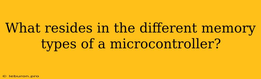 What Resides In The Different Memory Types Of A Microcontroller?