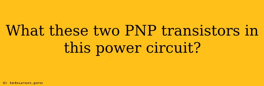 What These Two PNP Transistors In This Power Circuit?