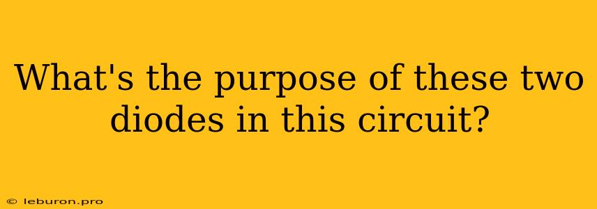 What's The Purpose Of These Two Diodes In This Circuit?