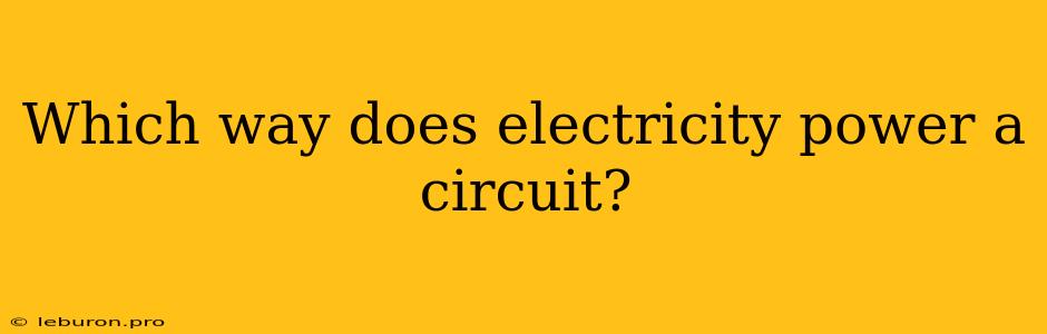 Which Way Does Electricity Power A Circuit?