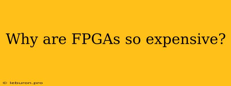 Why Are FPGAs So Expensive?