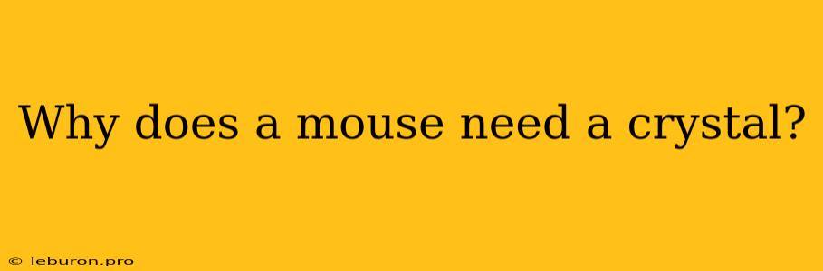 Why Does A Mouse Need A Crystal?