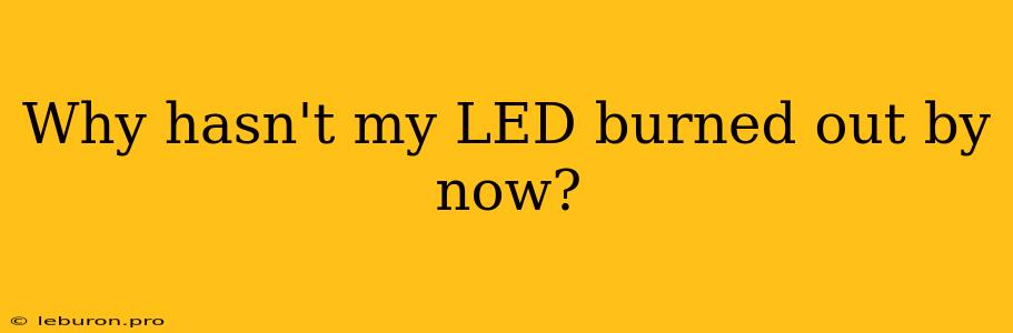 Why Hasn't My LED Burned Out By Now?