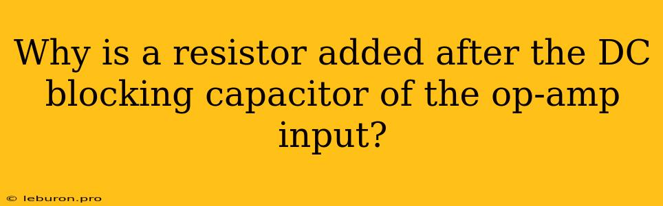 Why Is A Resistor Added After The DC Blocking Capacitor Of The Op-amp Input? 