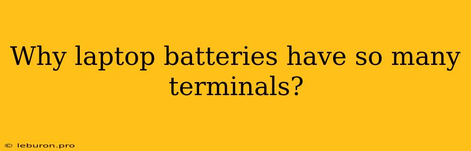 Why Laptop Batteries Have So Many Terminals?