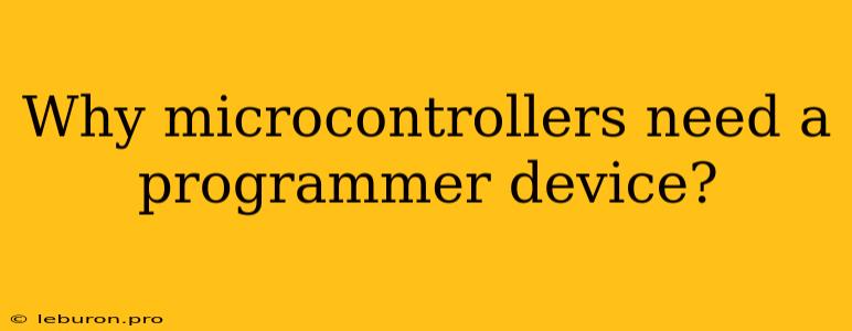 Why Microcontrollers Need A Programmer Device?